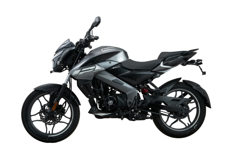 PULSAR NS 125 ANALOGUE - Grey Color