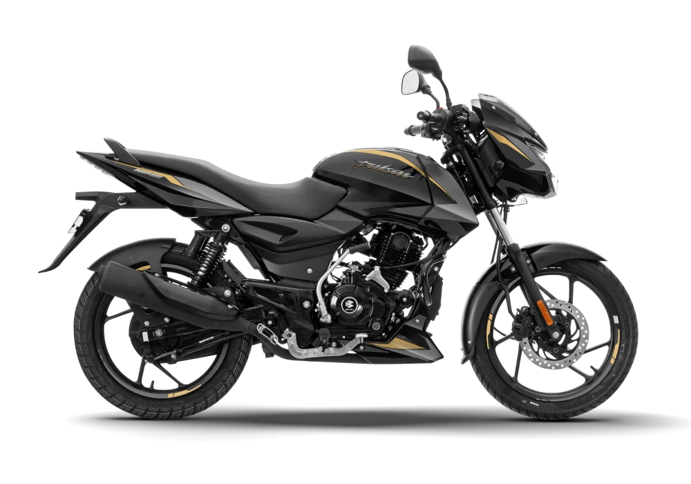 PULSAR 125 CF SINGLE LED - Gold Color