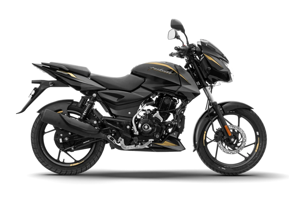 PULSAR 125  CF SPLIT LED - Gold Color
