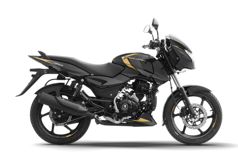 PULSAR 150 STD ANALOGUE LED - Gold Color